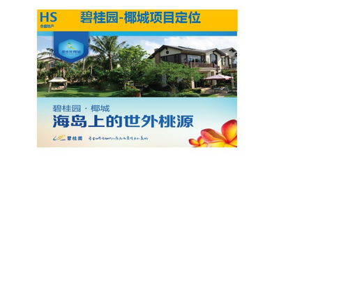 房地產(chǎn)營(yíng)銷策劃 引領(lǐng)樓盤成功銷售的專業(yè)之道