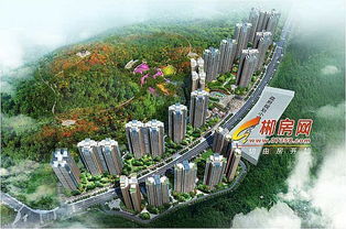 郴房網(wǎng)電商部強(qiáng)勢(shì)入駐 組團(tuán)共贏云鼎天闕